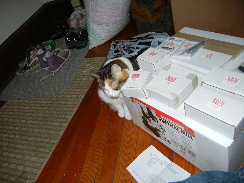immediately claimed by the cat